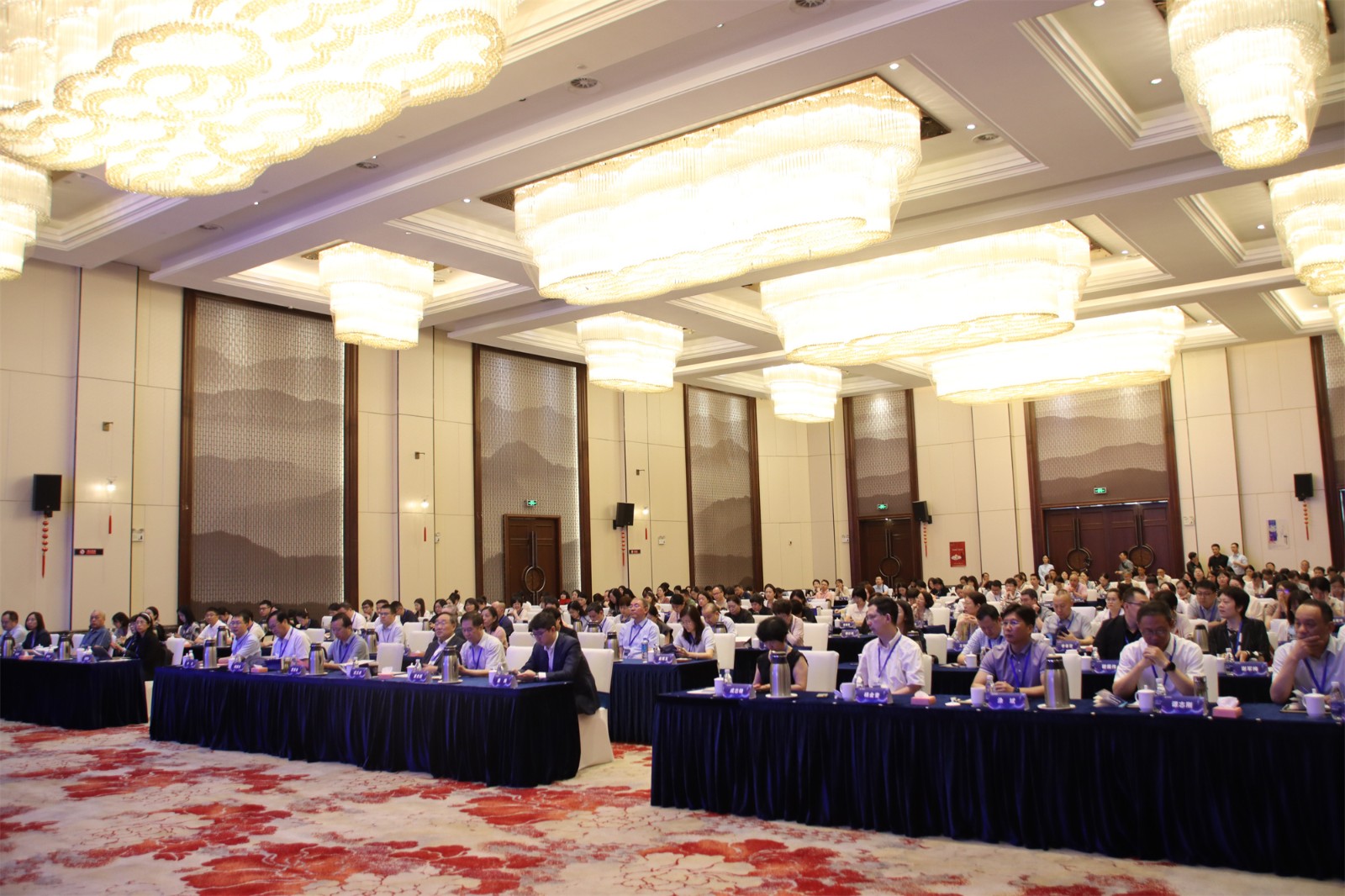 IMG_5779.JPG IMG_5779.JPG